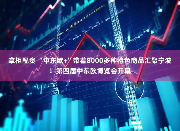 拿柜配资 “中东欧+”带着8000多种特色商品汇聚宁波！第四届中东欧博览会开幕