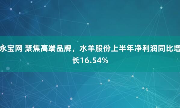 永宝网 聚焦高端品牌，水羊股份上半年净利润同比增长16.54%